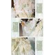 Bramble Rose Tianyu Qingluo Short and Long JSK Full Sets(Reservation/2 Colours/Full Payment Without Shipping)